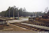1991