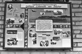 Luninez 1989