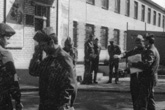 Luninez 1989