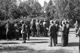 Luninez 1989