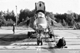 Luninez 1989