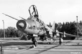 Luninez 1989