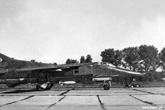 Luninez 1989