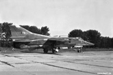Luninez 1989
