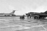 Luninez 1989