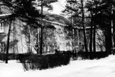 1991