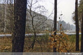 1991